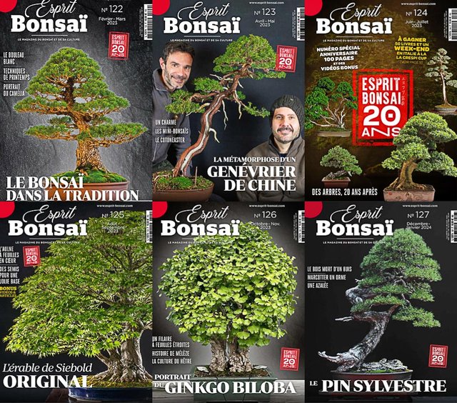 Esprit-Bonsai2023.jpg