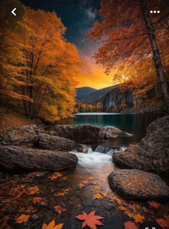 Screenshot_20240218_210018_Pinterest