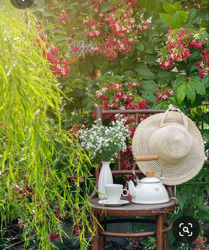 Screenshot_20230712_004015_Pinterest