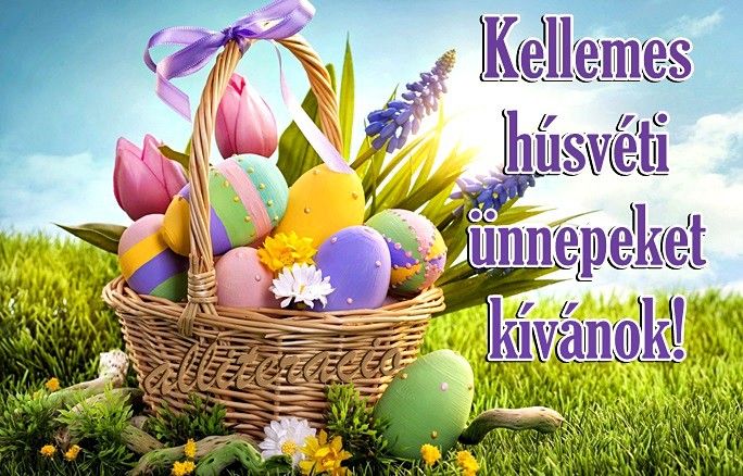 06dbe7831d64e9e099e56dbe24d05bb3