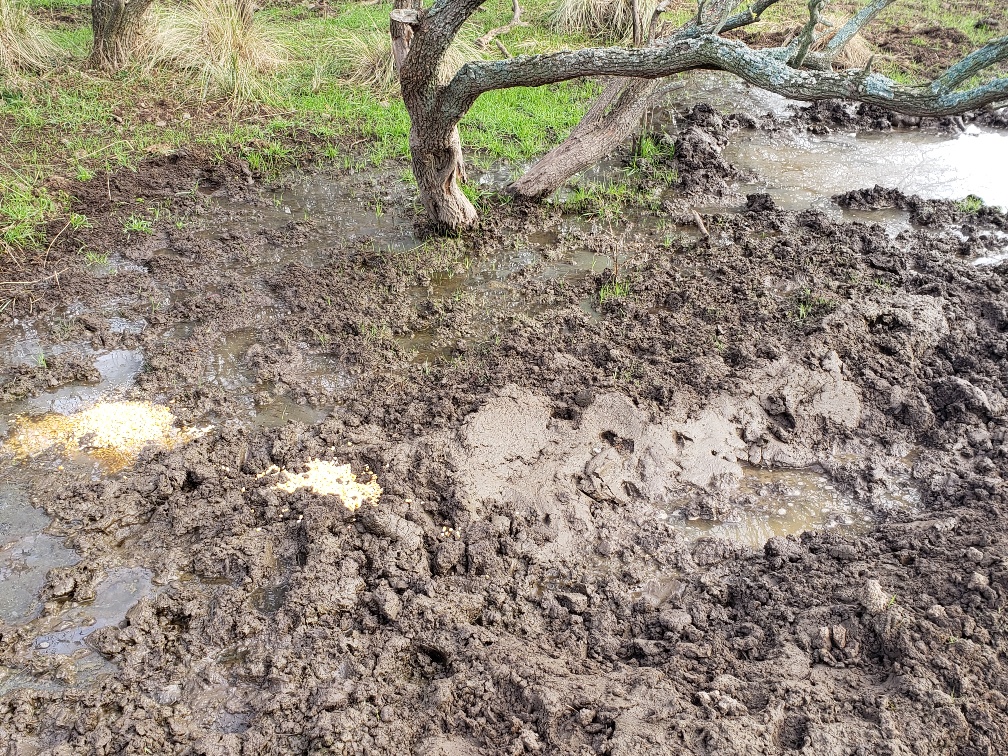 20190615_104439_resized