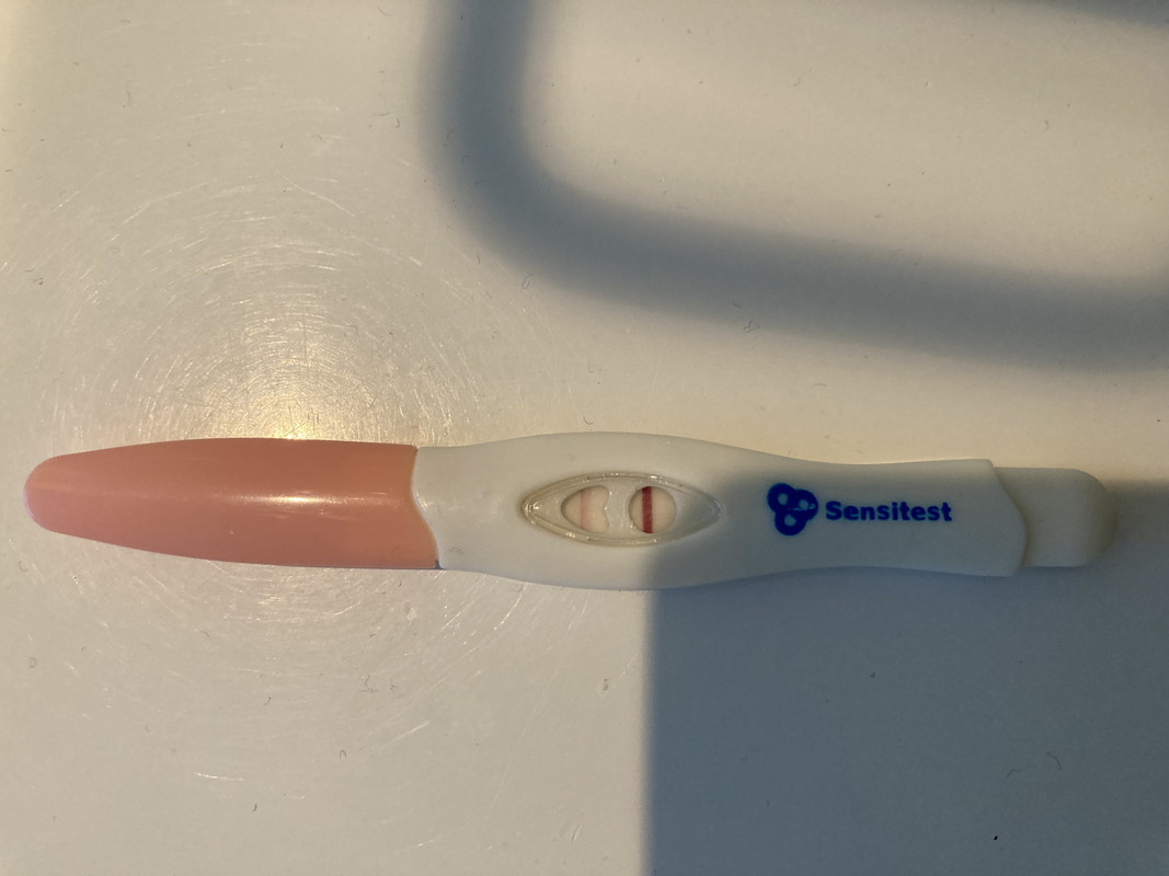 58E6E340-032F-4D98-9790-83775FDA5897