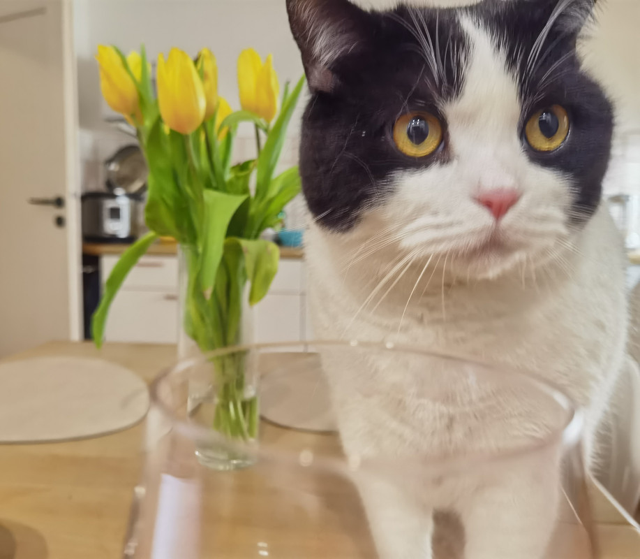 IMG_20230327_205213_edit_1228331261954754