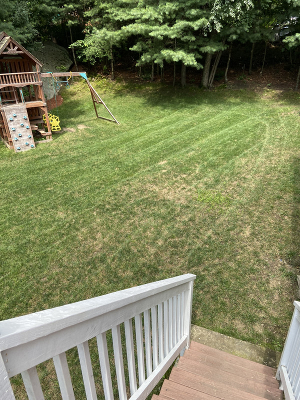 Lawn sale care forum