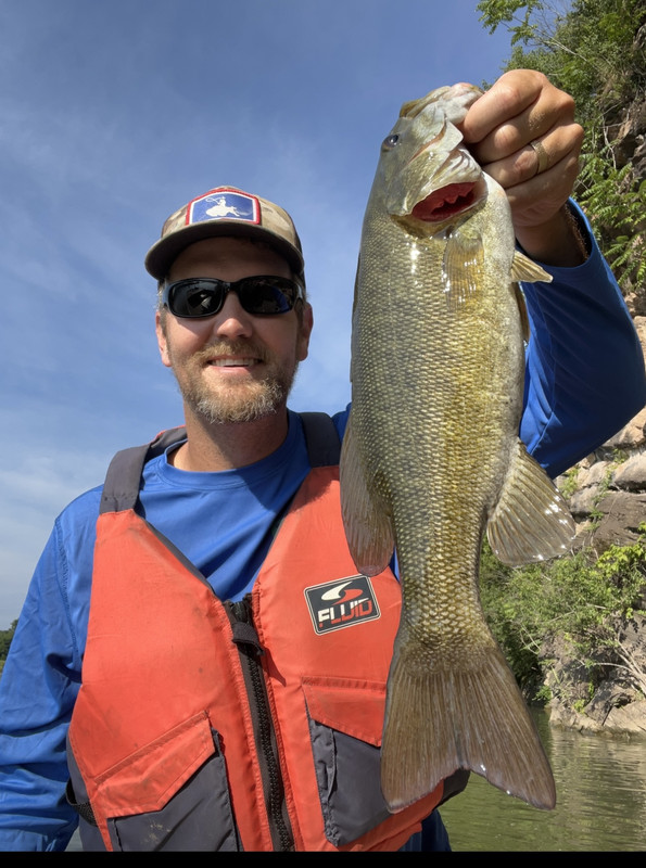 B02-FA4-F1-EF55-4-B53-96-D0-688-E2-BF90-