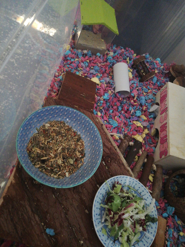 15990312492598960328801888183294