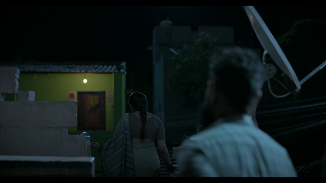 vlcsnap-2025-04-24-21h04m03s984