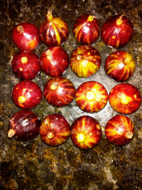 WhatsApp Image 2020-12-20 at 00.10.49 (18)