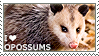 opossum5