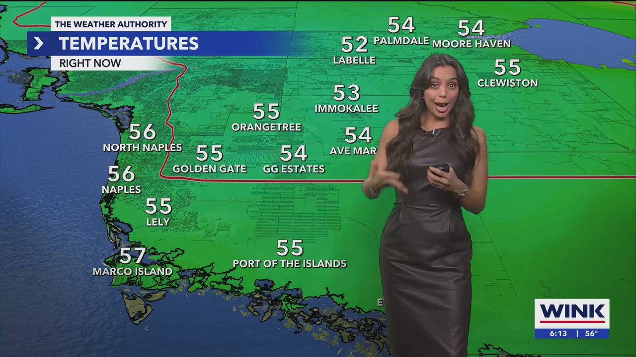 WINK News at 600am_20241223_11001130.ts_snapshot_14.37.016
