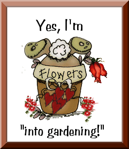 Into_gardening