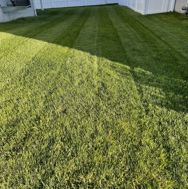 0741ABF9-8196-4A0C-89F2-74A3A7E10F08