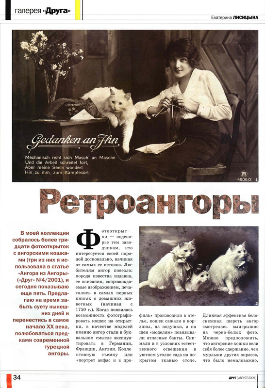 Друг кошек № 8 2009-32