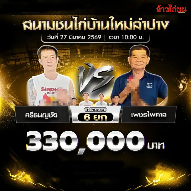 สรุปผลไก่ชน คู่ ศรีธนญชัย พบ เพชรไพศาล สนามบ้านใหม่ลำปาง