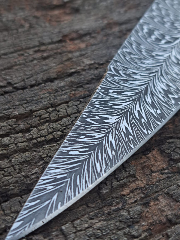 WhatsApp Image 2023-04-05 at 19.29.40 (1)