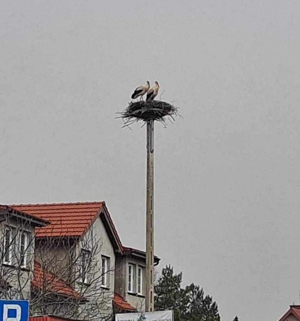 Przechwytywanie w trybie pełnoekranowym 02.06.2024 234732