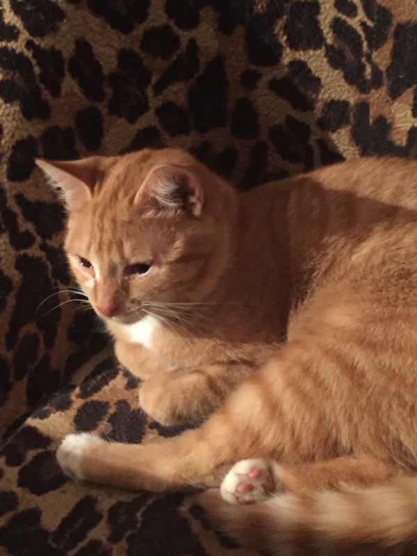 0A764CF5-E360-4282-8326-C2F594D8AB4D