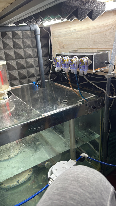 38057623-737D-42A9-A464-5AA6A8FD742E