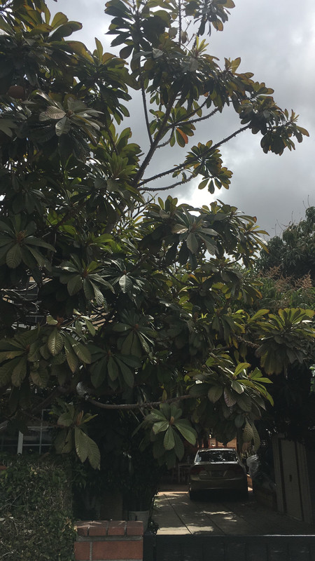 470D92DF-6433-48DD-9F3A-105AF1D328E5