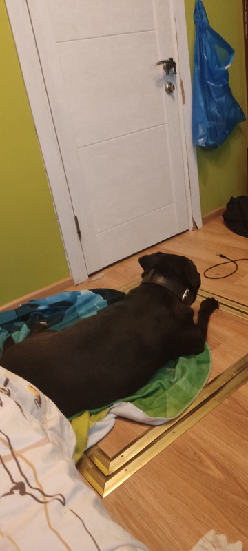 FD5A4A94-888A-42FD-833B-EA8A10098D37