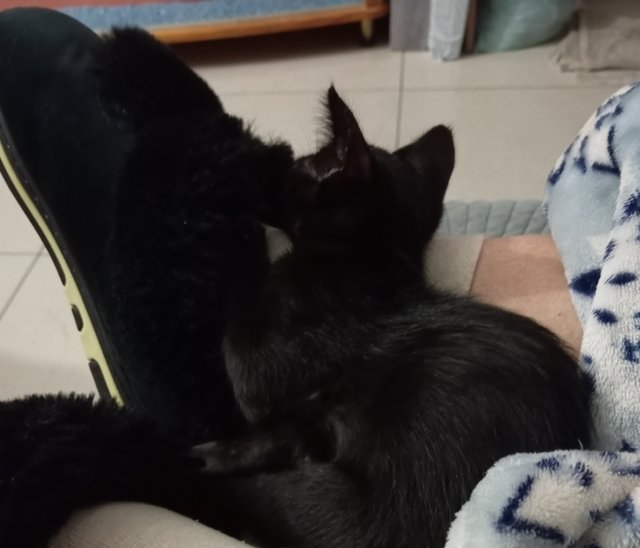 https://i.postimg.cc/BvJt61mq/1716302935058-cr.jpg