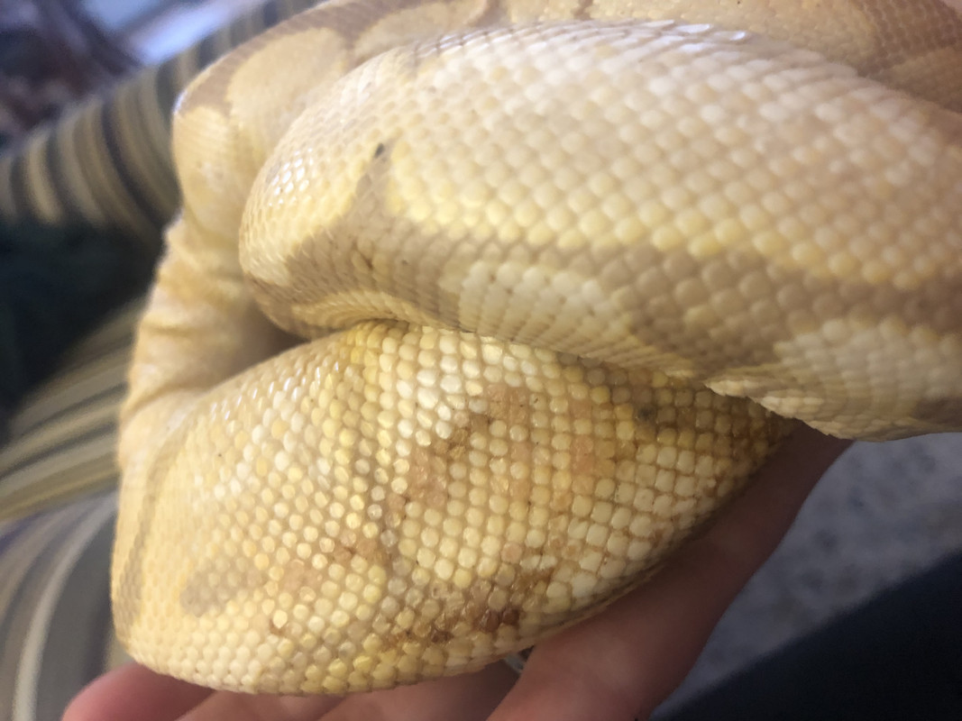 0AE31493-B0B3-4623-86F8-3E91D15FF83C