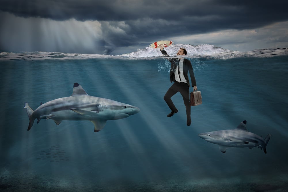 How did the Shark Tank goal market reply to this particular product