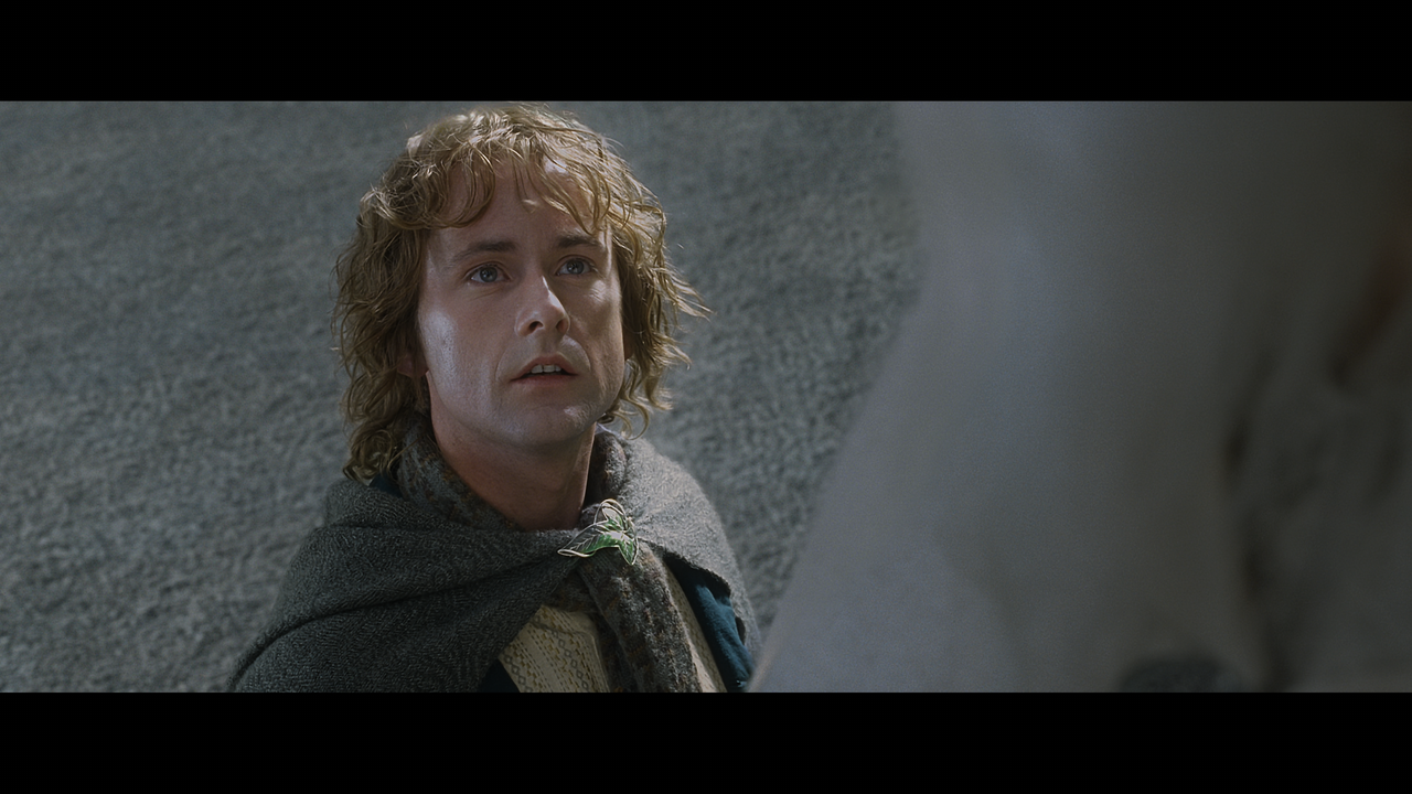 The Lord of the Rings- The Return of the King (EXT.) PT. 1.mkv_snapshot_00.50.12_[2020.12.15_18.44.3