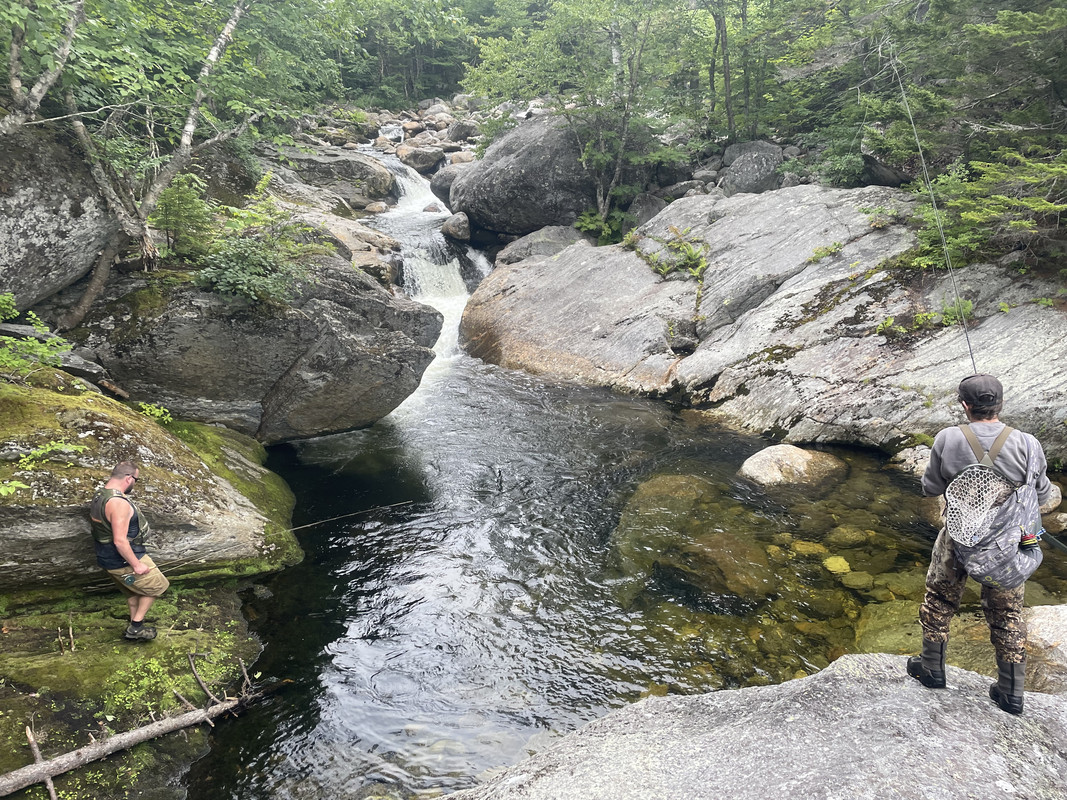 C7DA39A5-7DE0-4902-9FE4-D1CFC73762AC