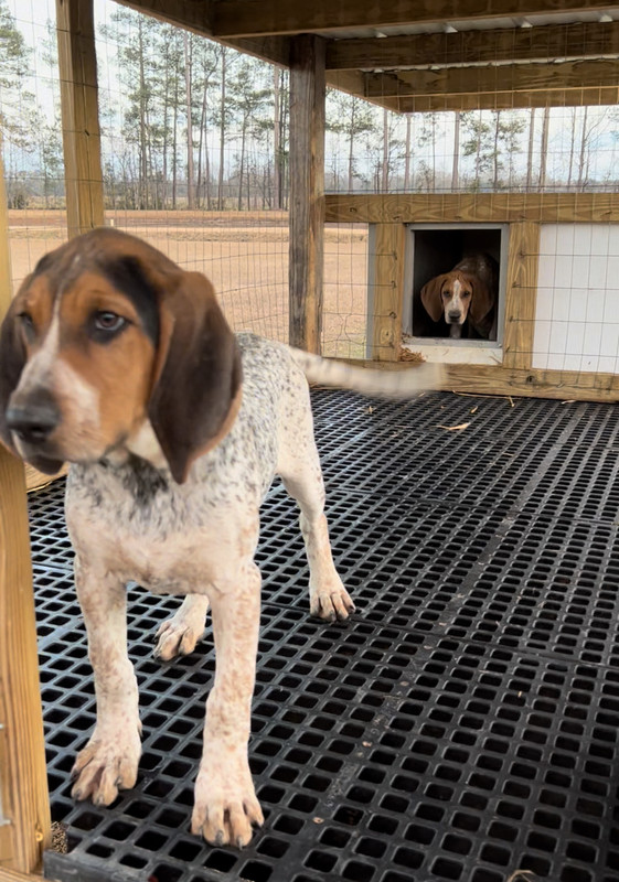 743E5F38-96F0-42C7-859B-07A9A34AC072