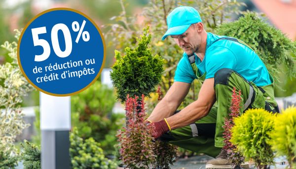 Services à la personne