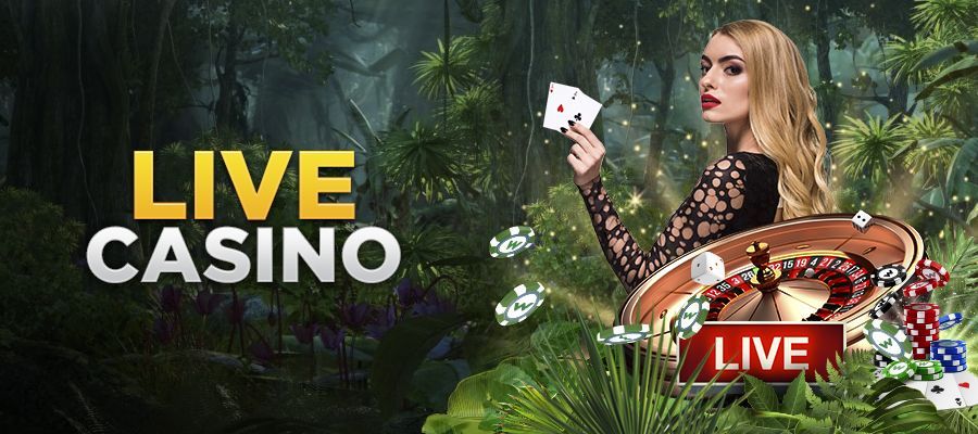 jogo do casino