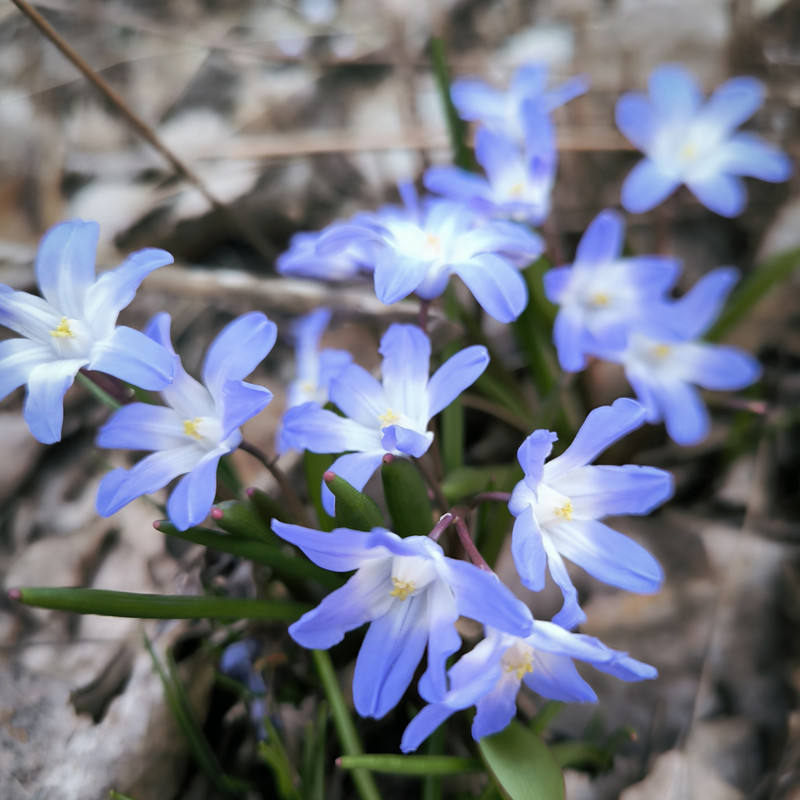 IMG_20250404_175845