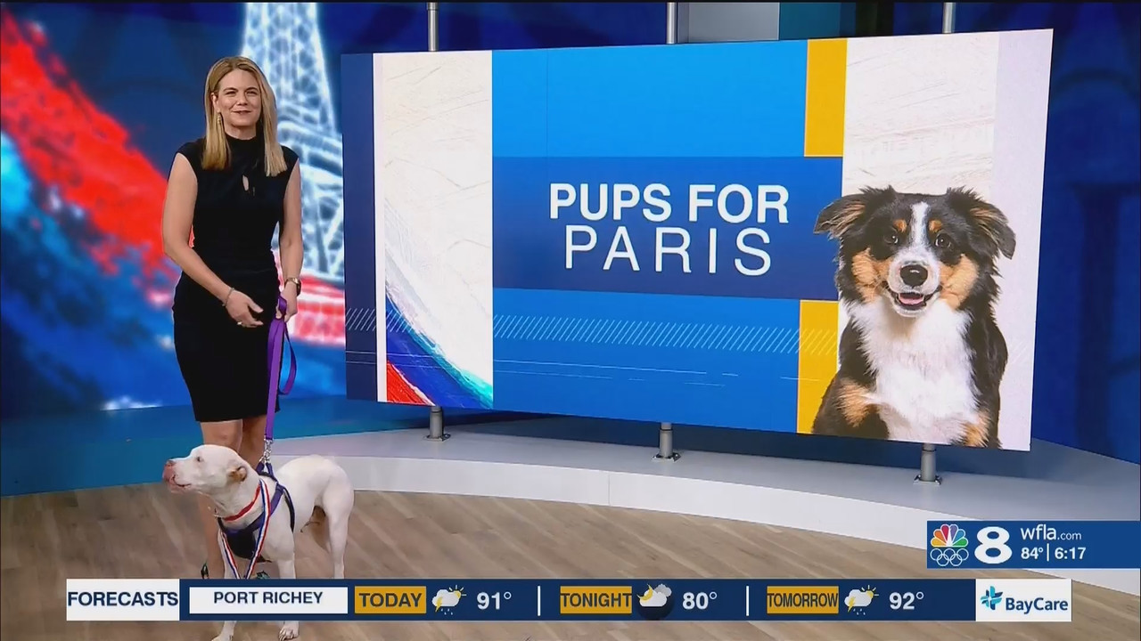 NewsChannel 8 Today at 6a_20240807_11001200.ts_snapshot_00.18.33.662