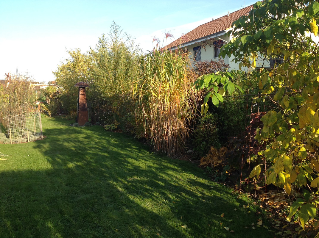 Garten Impressionen 25. Okt. 2015 (7)