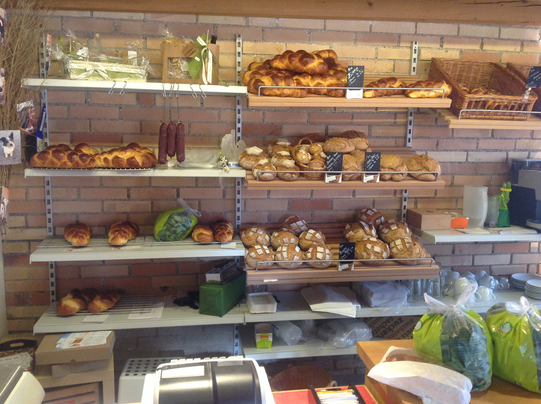 Biochratte 24.12 (2)