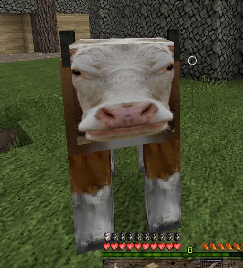 its a real cow!