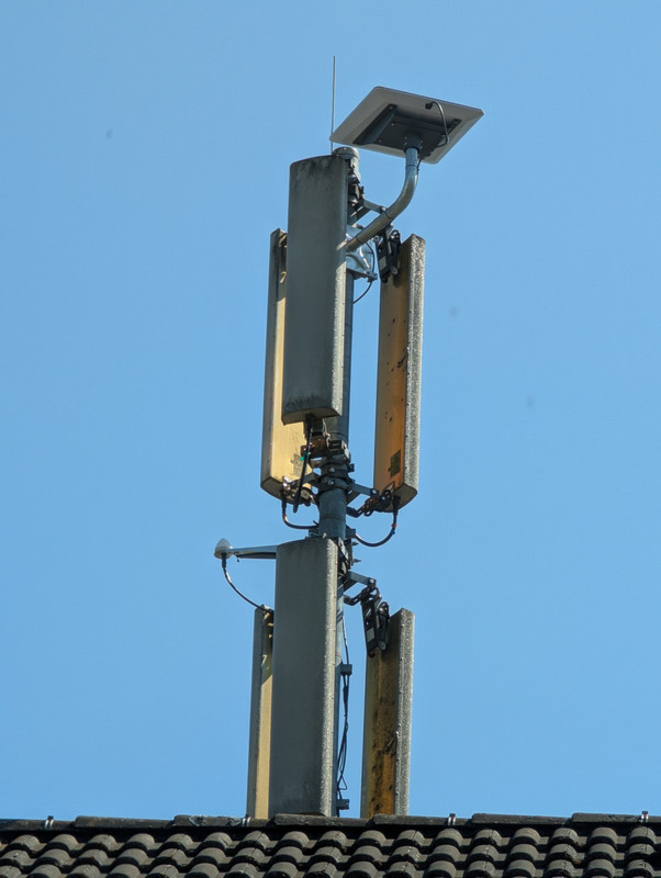 PXL_20250619_135929119