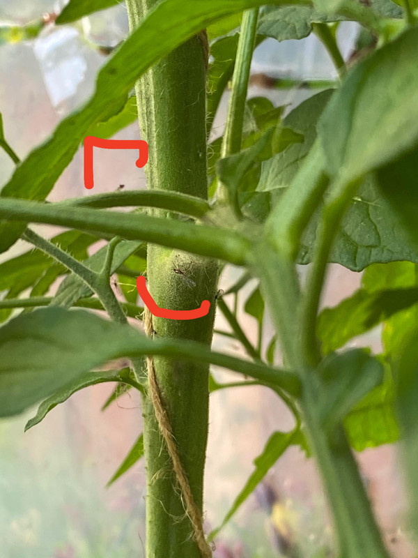 95F79214-9751-4D09-BBBB-B1B74978ABEE