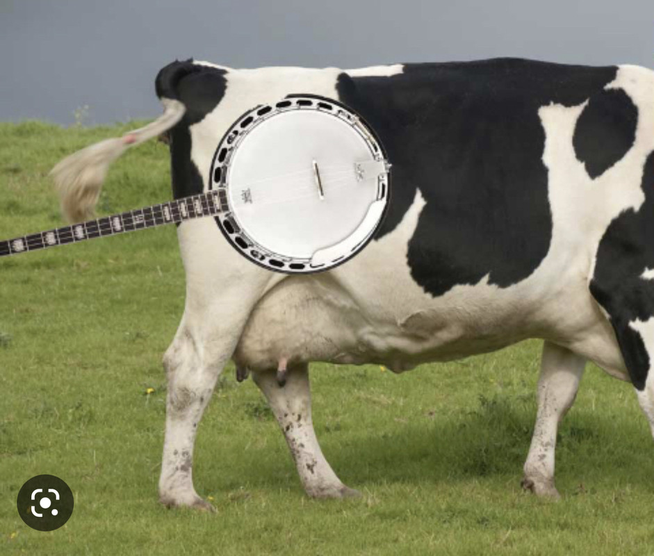 A6E3DDC2-993C-4095-AD3E-26F068678F5E