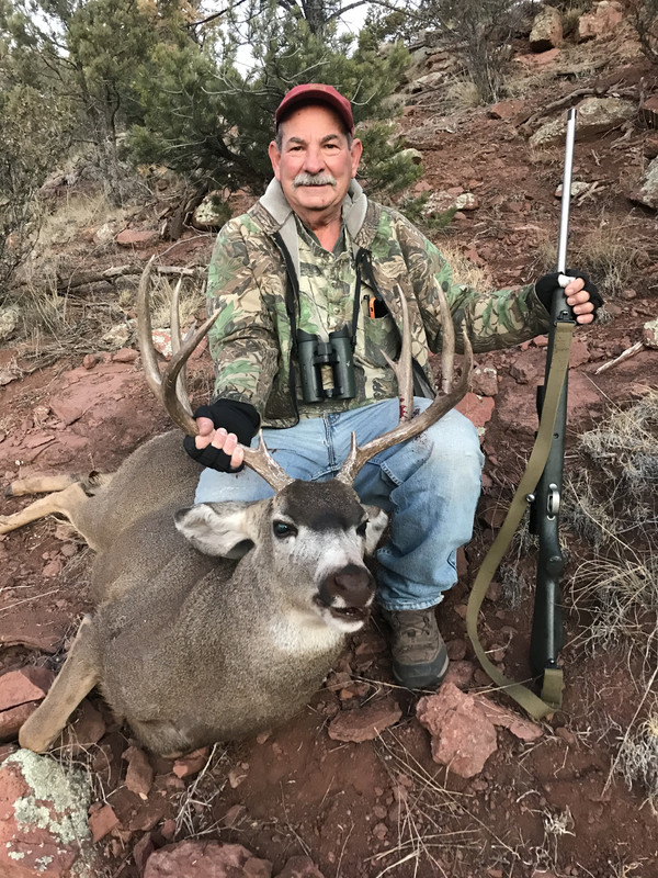 Deer2020