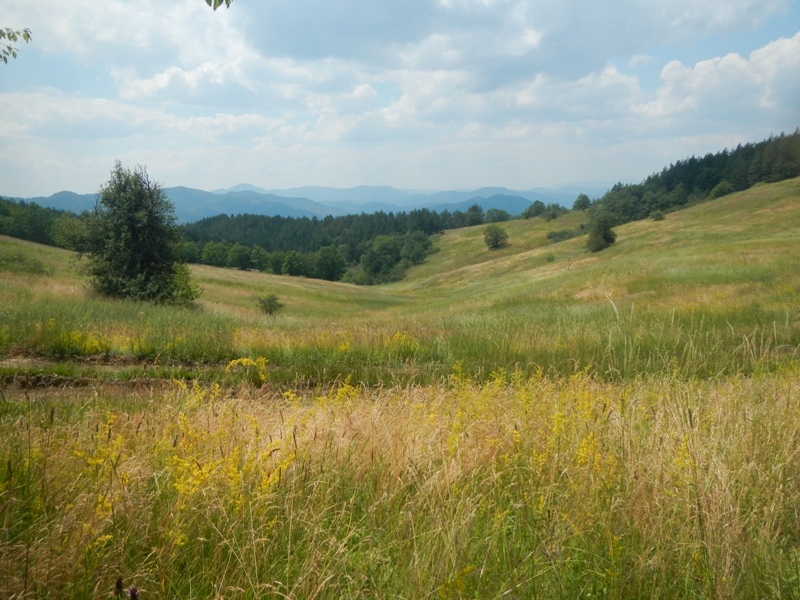 Zlatibor juli 2013 (72)
