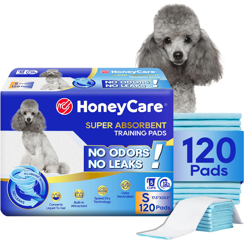 HONEY CARE All-Absorb Training Pads Small 120 Count