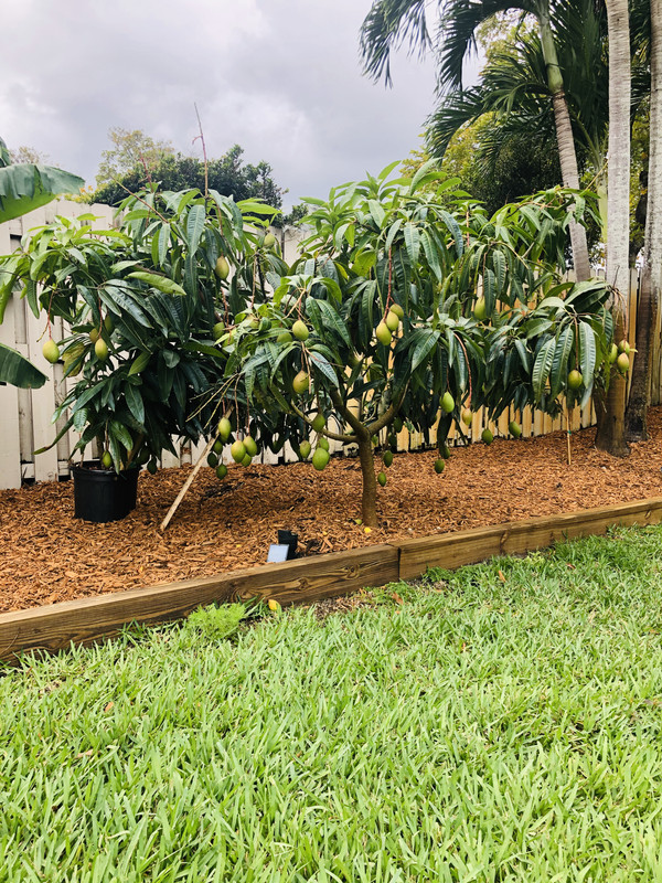 F662C339-B668-4483-86D9-65DA226E02F7