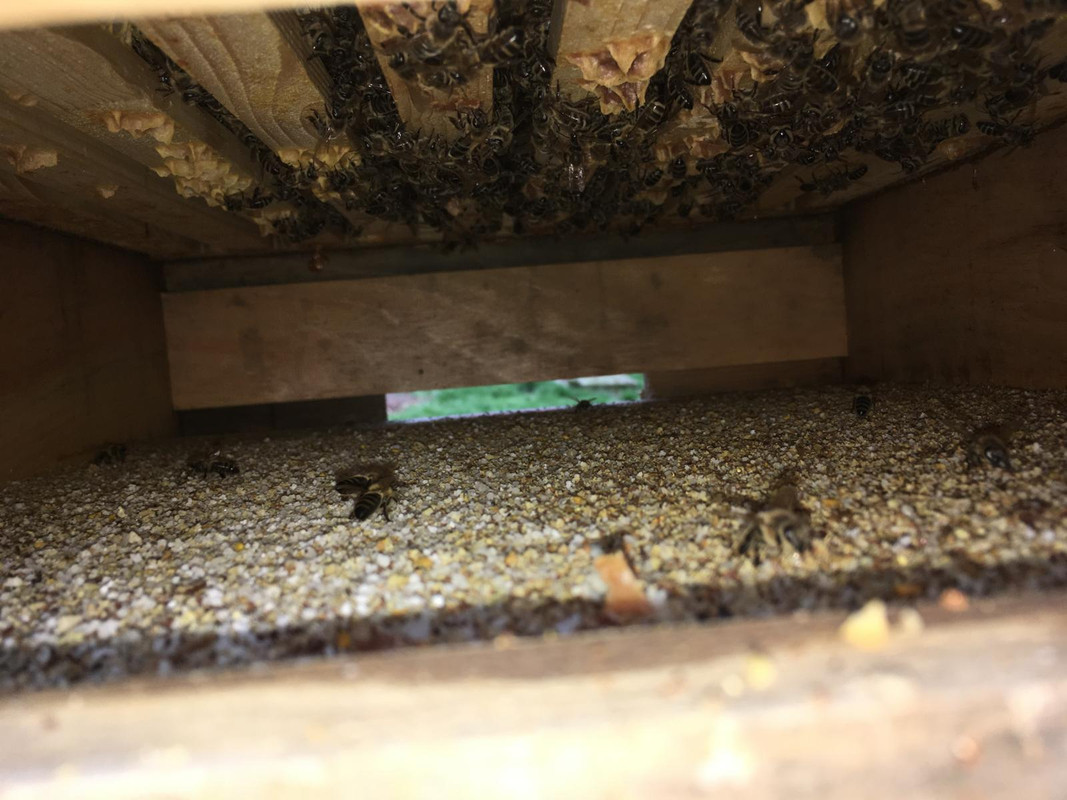 4C997B40-689F-493D-9BE4-A0B82B900B26