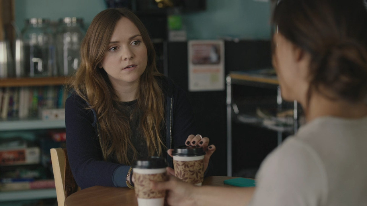 Casual (2015) Season 1-4 S01-S04 (1080p AMZN WEB-DL x265 HEVC 10