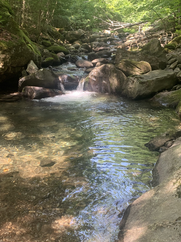 1BE0CD62-1711-49C3-921C-3DC0704D7507