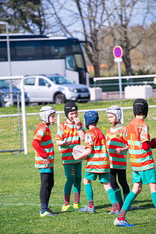 tournoi-de-latlantique-2026-adonis-griffon-146-55181287641-l