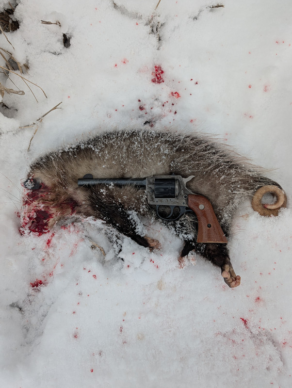 PXL 20260223 213127351