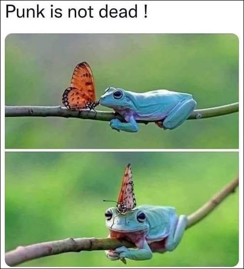 Une pensée pour Deadpunk 